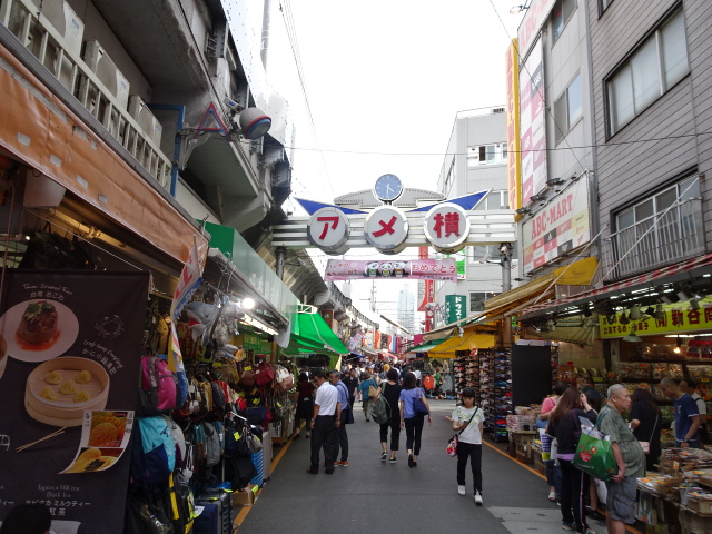 travel, trip, Japan, Tokyo, sightseeing, Ueno, Ame-yoko