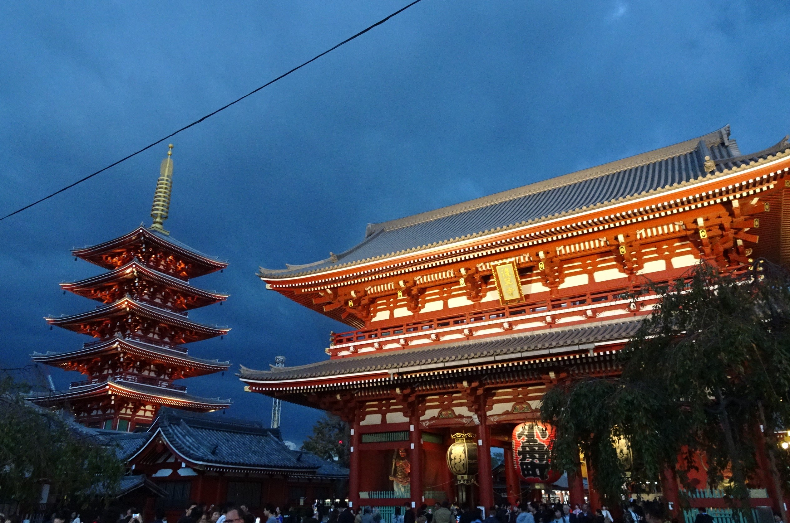 travel, trip, Japan, Tokyo, sightseeing, Fuji, mountain