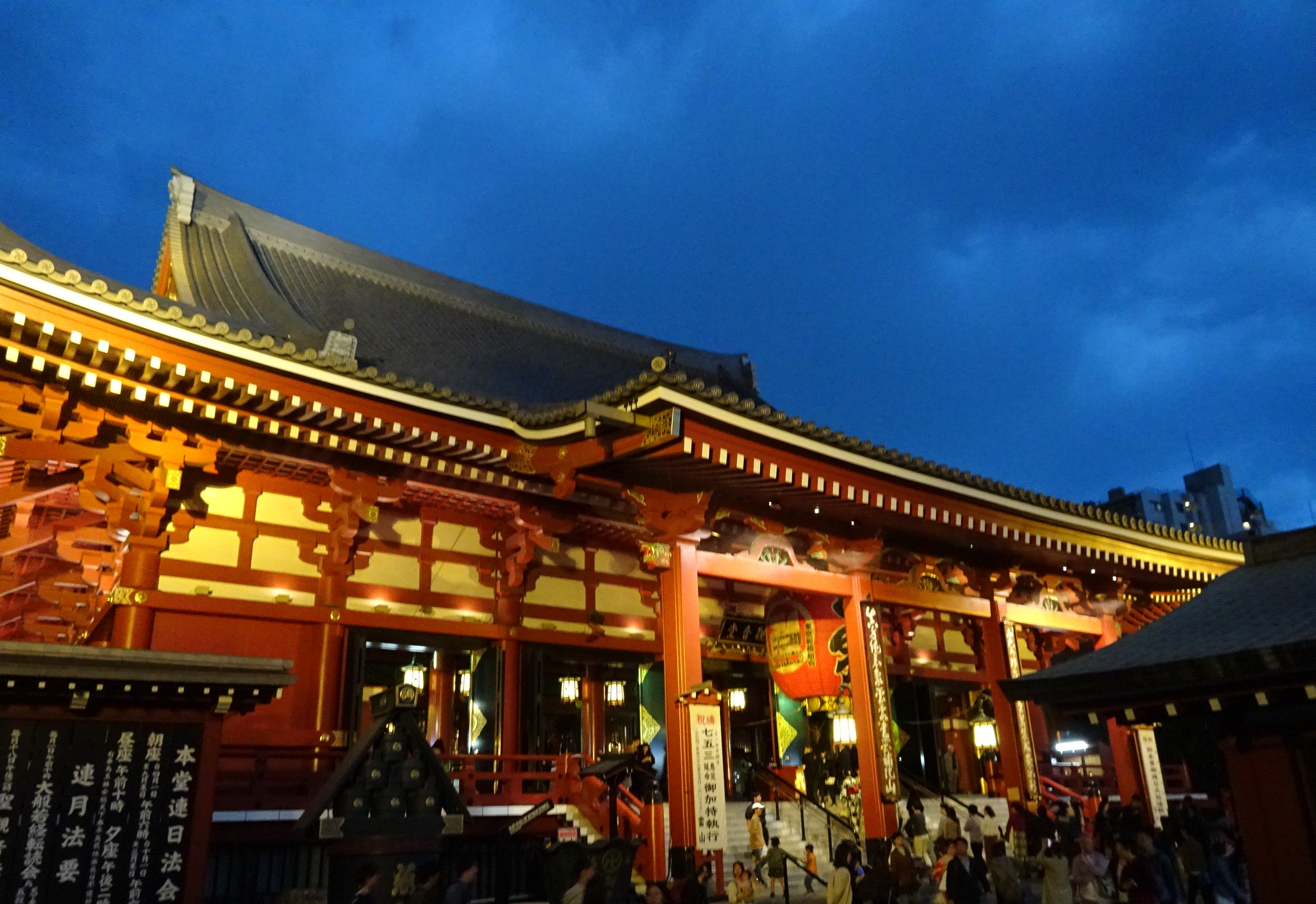 travel, trip, Japan, Tokyo, sightseeing, Fuji, mountain