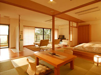 travel,japan,tokyo.,tourist spot,Culture