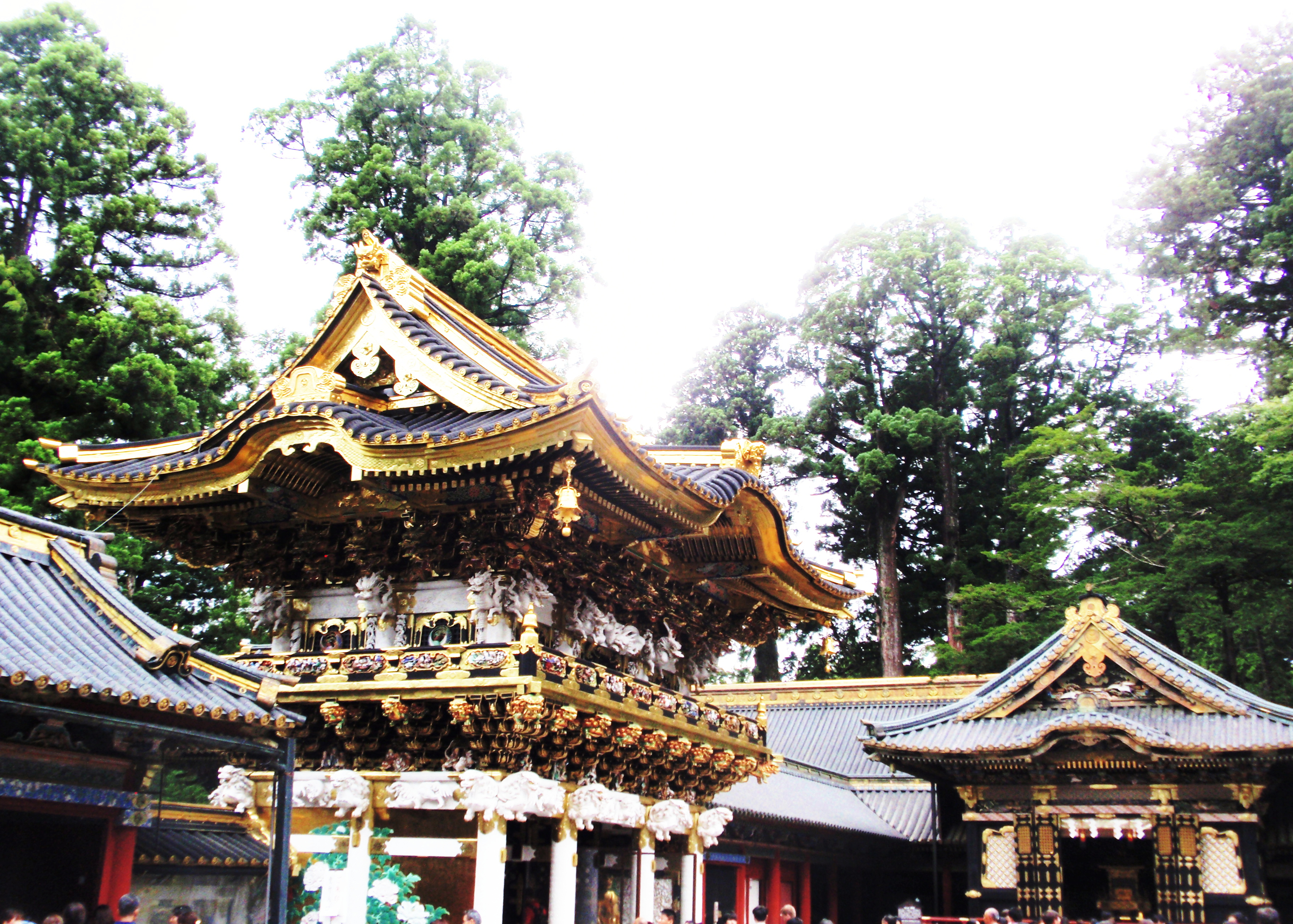 travel,japan,tokyo.tuorist spot,recommendation